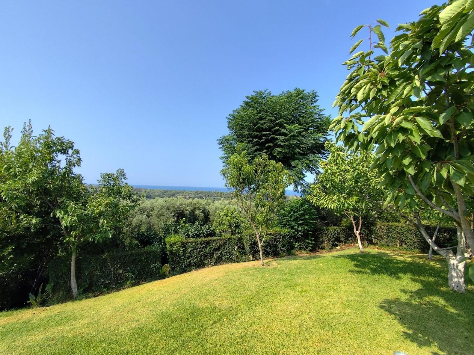 Nikopolis Simos' Sea View Houseヴィラ エクステリア 写真