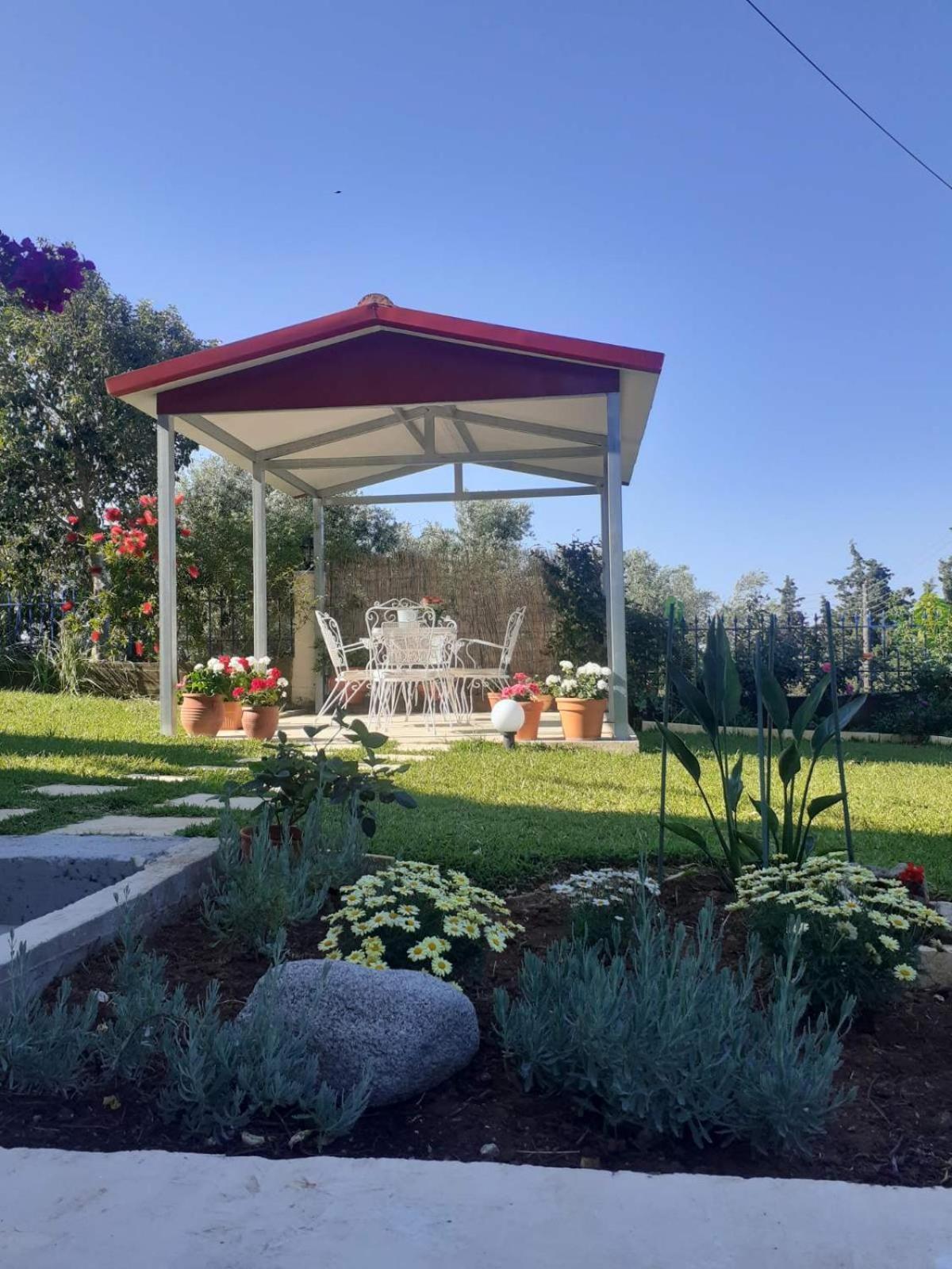 Nikopolis Simos' Sea View Houseヴィラ エクステリア 写真